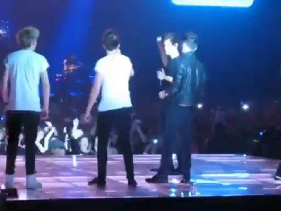 VIDEO One Direction : Le Harlem Shake à Amnevil...