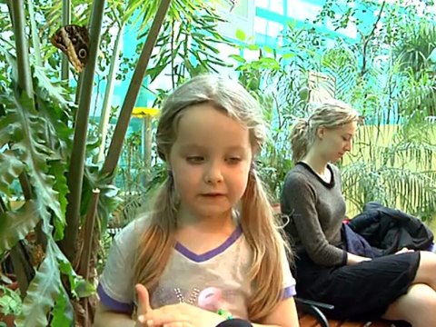 Неделя бабочек проходит в Москве