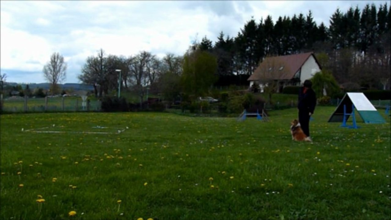 obé 2013