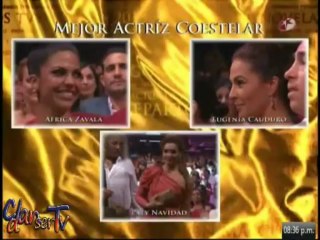 premios tv y novelas 2013 pt 5