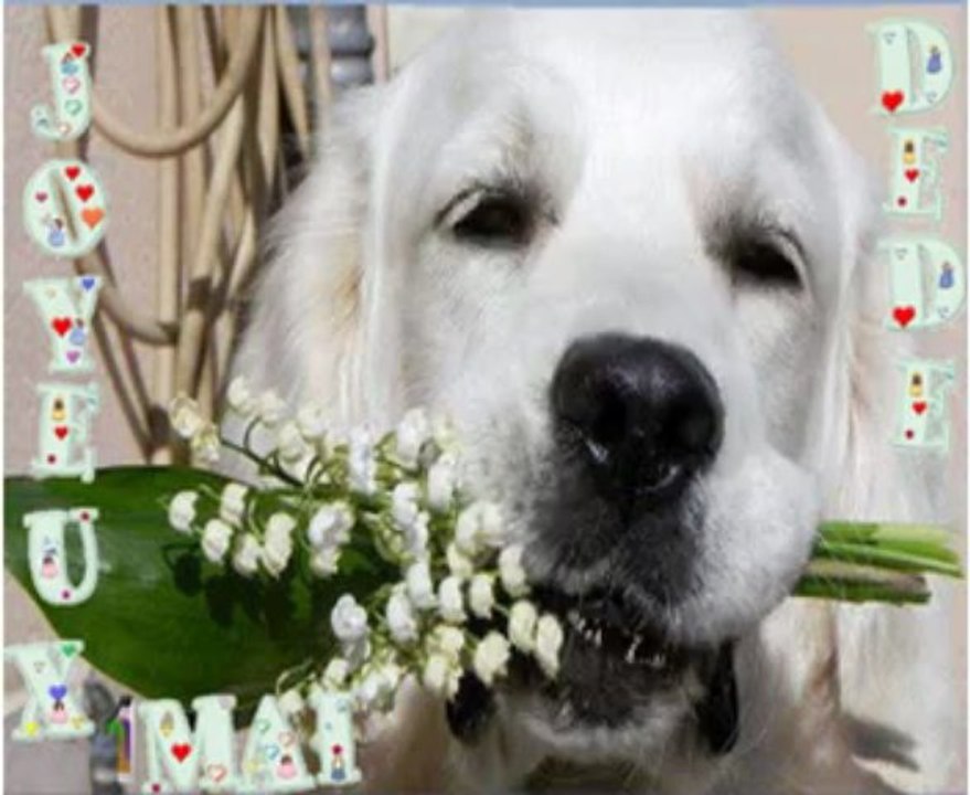 Joyeux 1er Mai