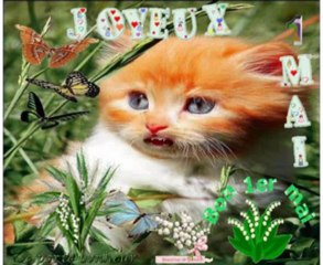 Joyeux 1er Mai..je porte bonheur..