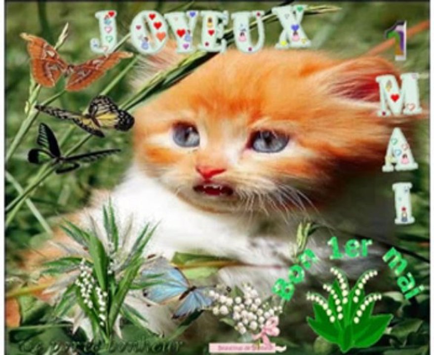 Joyeux 1er Mai..je porte bonheur..