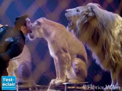 Le cirque Arlette Gruss s'installe à Troyes