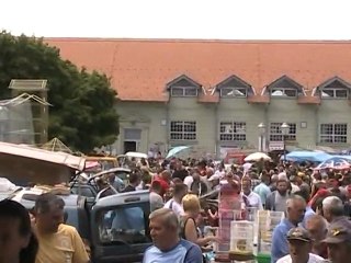 10 smotra sitnih zivotinja - Srem. Mitrovica 28 aprila 2013