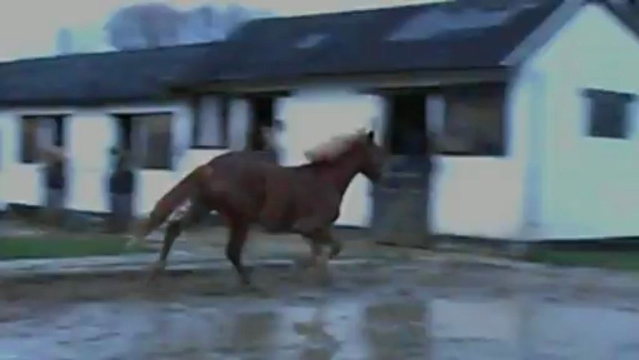 Kaïzer saut de mouton piste