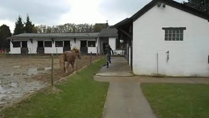 Kaïzer joue avec moi