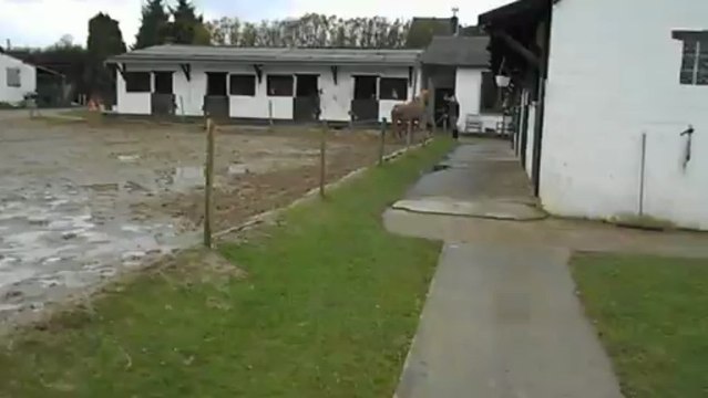 Kaïzer joue avec moi (2)