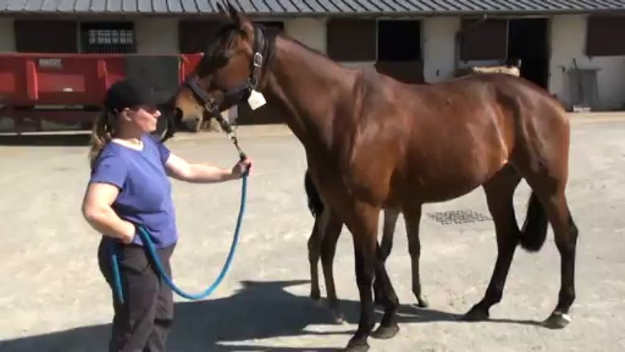 DJ POLE LE PETIT DE REBELLE D'ORGERES