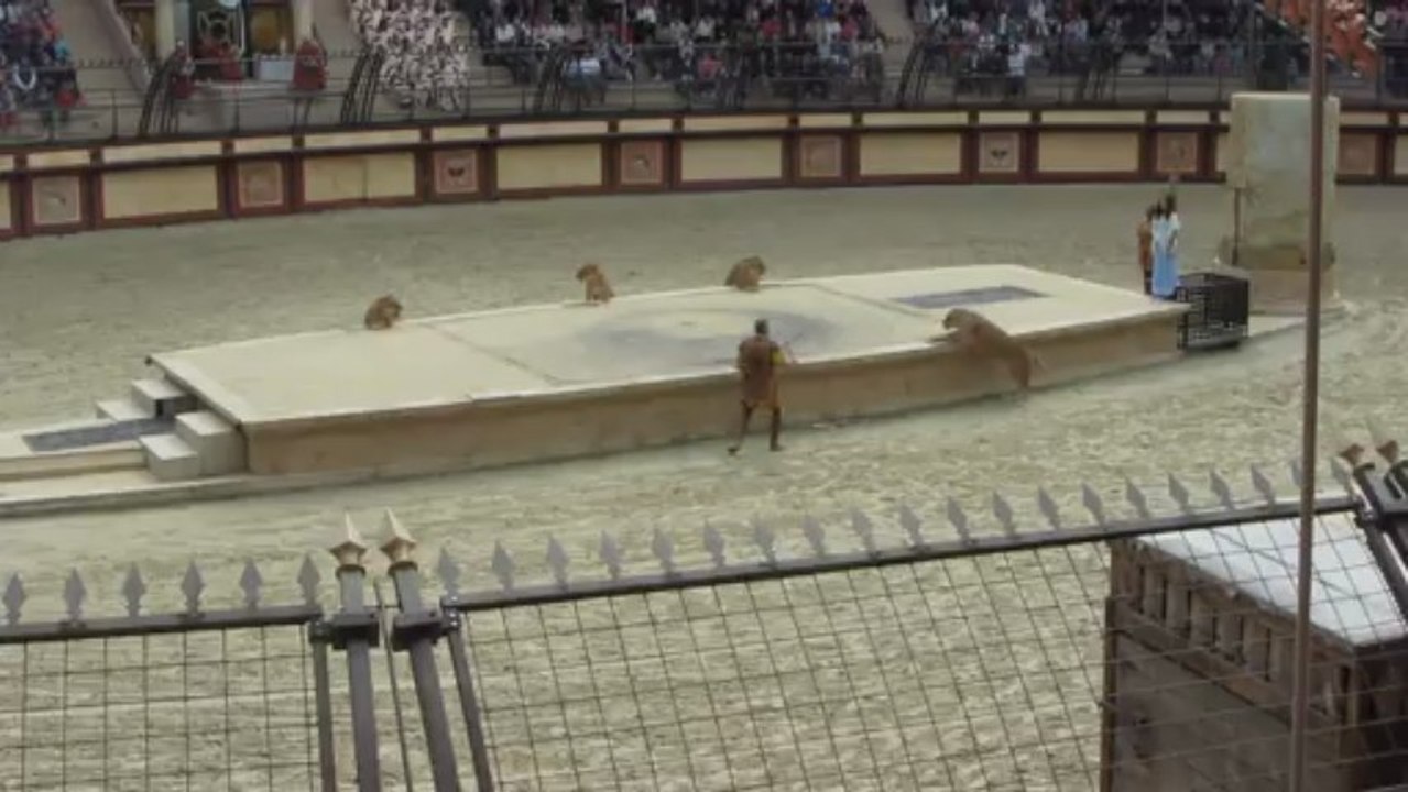 Lions