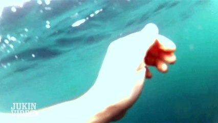 Shark Encounter Turns Out to Be a False Alarm