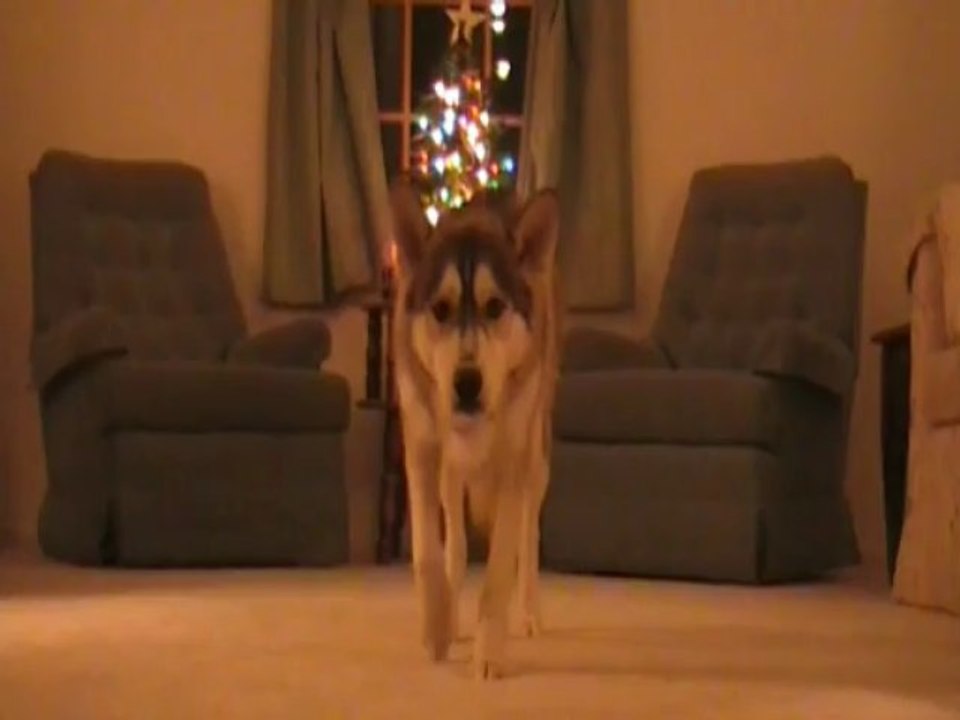 Twilight: A Very Vampire Thanksgiving (Twilight Spoof)