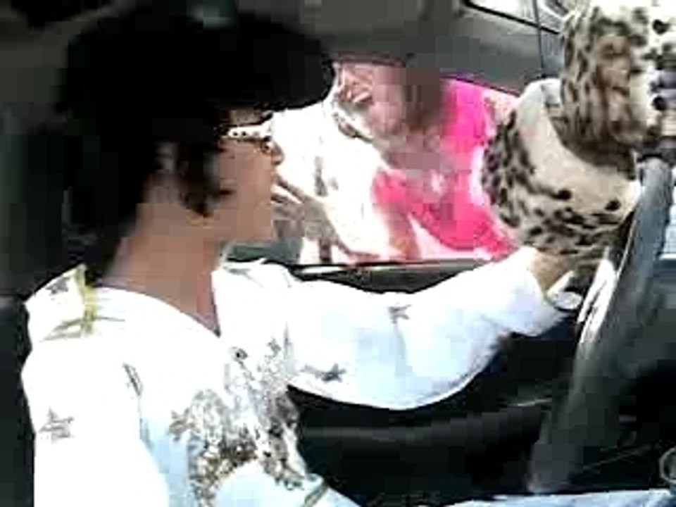 Driving Elvis