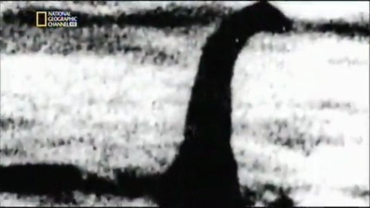 PARANORMAL - Les Monstres Des Mers