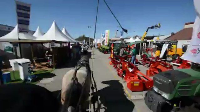 Le tour de la foire de Brignoles à cheval en 2 minutes 30