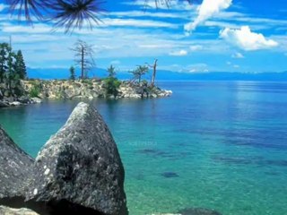 Hospitality management services