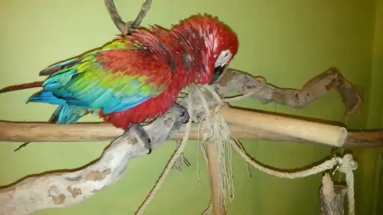 20130502_005702