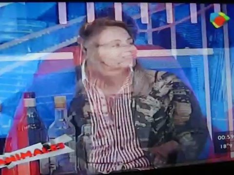 El elenco de Viaje de locura en animales sueltos PARTE 6