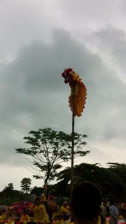 097 182 559,thuê múa lân,đoàn lân sư rồng,múa lân rồng khai trương