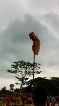 097 182 559,thuê múa lân,đoàn lân sư rồng,múa lân rồng khai trương