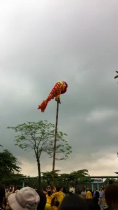 0974 182 559,cho thuê múa lân tại hà nội,múa lân sư rồng