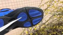 Nike Air Foamposite Pro shoes