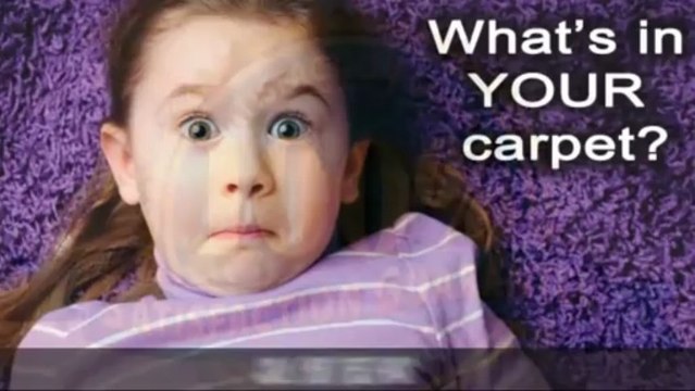 Carpet Cleaning Service Manzanita OR (503) 354-4145