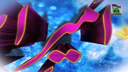 Ameer e Ahle Sunat - Sahri madani Phool Ep#08