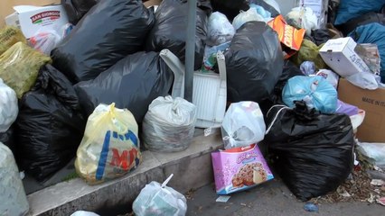 Casapesenna (CE) - Disastro rifiuti - (3/5) (30.04.13)