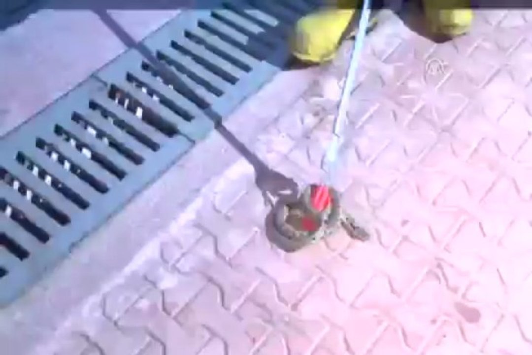 İtfaiyeden yılan operasyonu