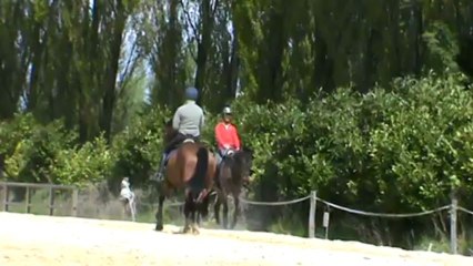 Reprise Anne Laure Icare