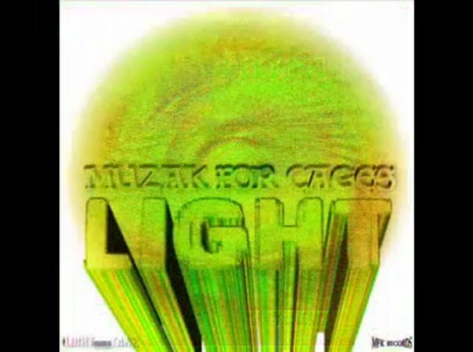 Muzak For Cages: "Discography" (2012)