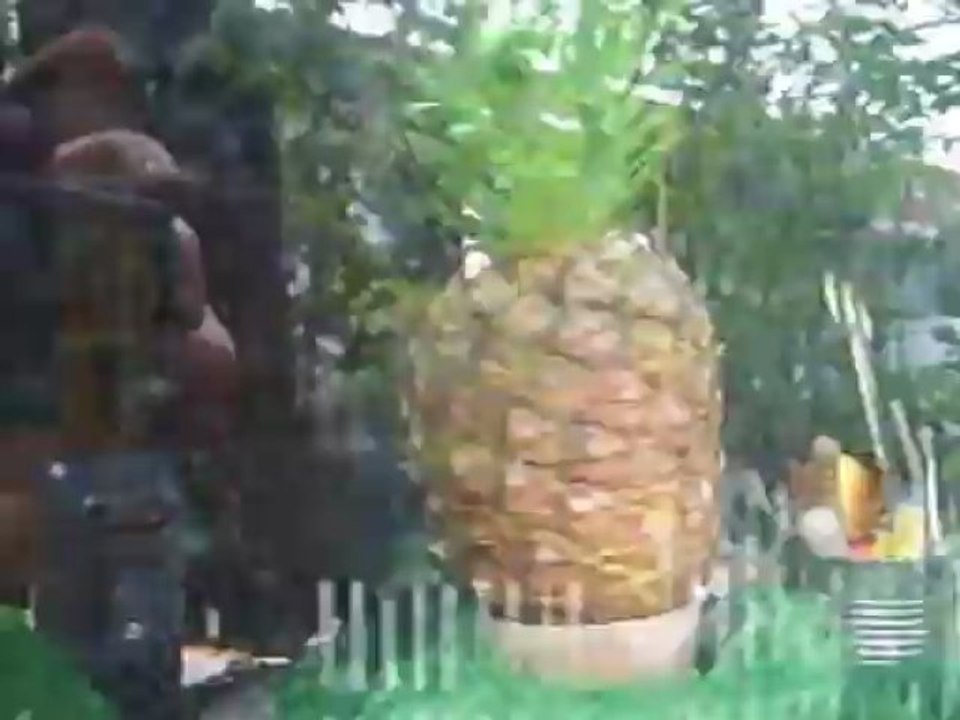 I’m Dreaming Of Dandelion Wine…