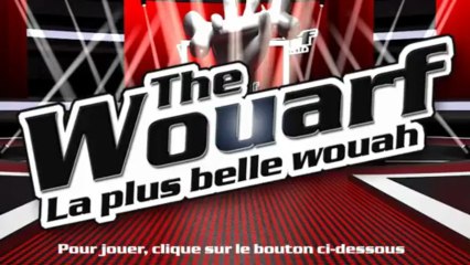 THE WOUARF - JINGLE DE L EMISSION - ASSUR O'POIL - MUTUELLE DES ANIMAUX