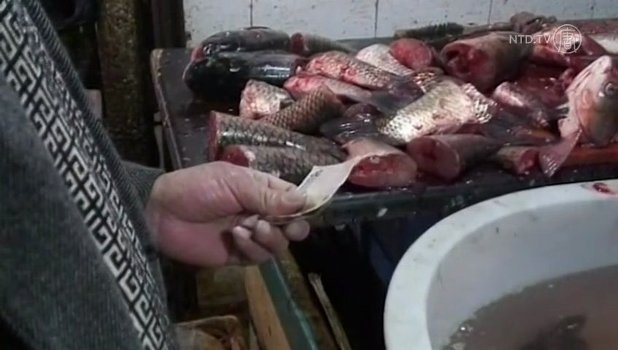 Reports Say China Massively Underreporting Fishing Bounty