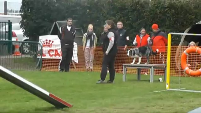 Dixie sélectif GPF manche 1 Agility