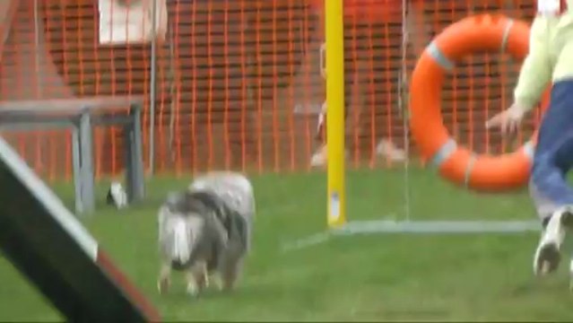 Azur sélectf GPF manche 1 Agility