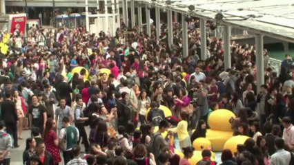 Pato gigante no porto de Hong Kong