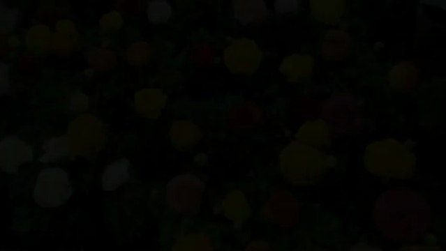 La Praririale 2013 à la Ferme du Manet à Montigny-le-Bretonneux les 27 et 28 avril 2013