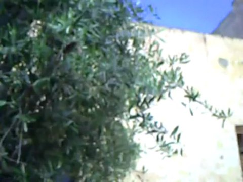 من الاثار المتبقية باحفيرمنزل اليهودي الملقب ب طوطو وزوجته فرتونة والمعبد او الدير الذي كان بعبد فيه من طرف الجالية اليهودية التي كانت تقطن مدينة احفير وقتئذ تصور الصحفي المتطوع محمد محي