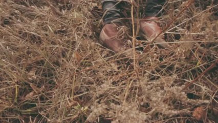 Beliefs - Violets (bonus track)