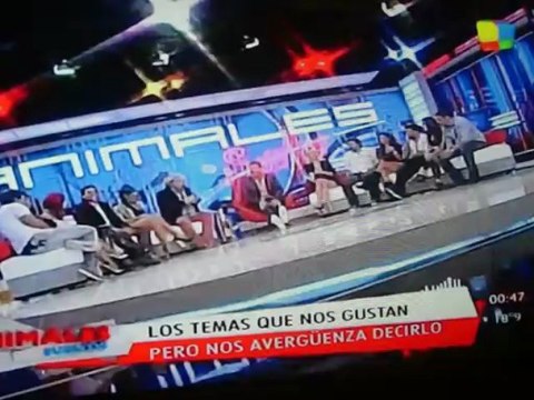 El elenco de Viaje de locura en animales sueltos PARTE 5