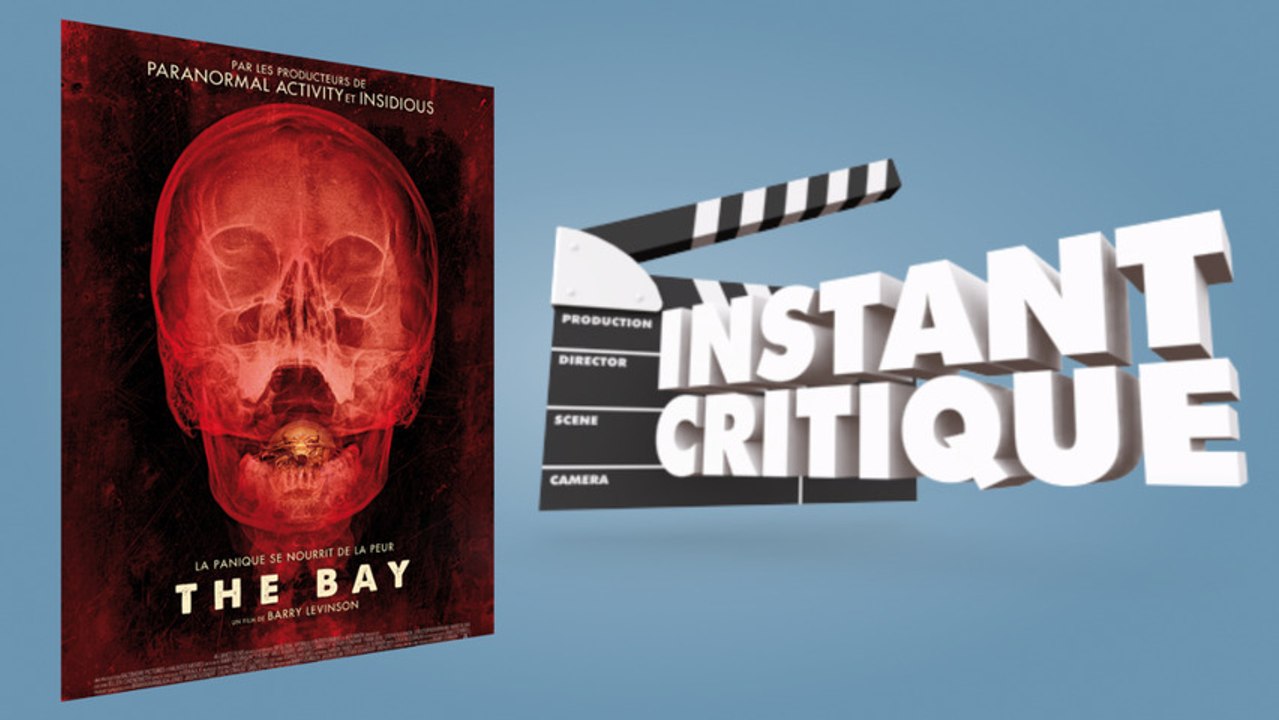 [Critique] The Bay