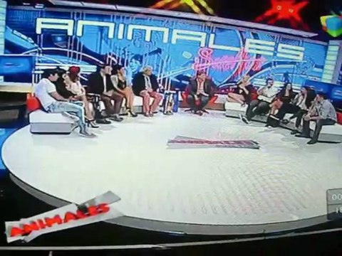 El elenco de Viaje de locura en animales sueltos PARTE 3