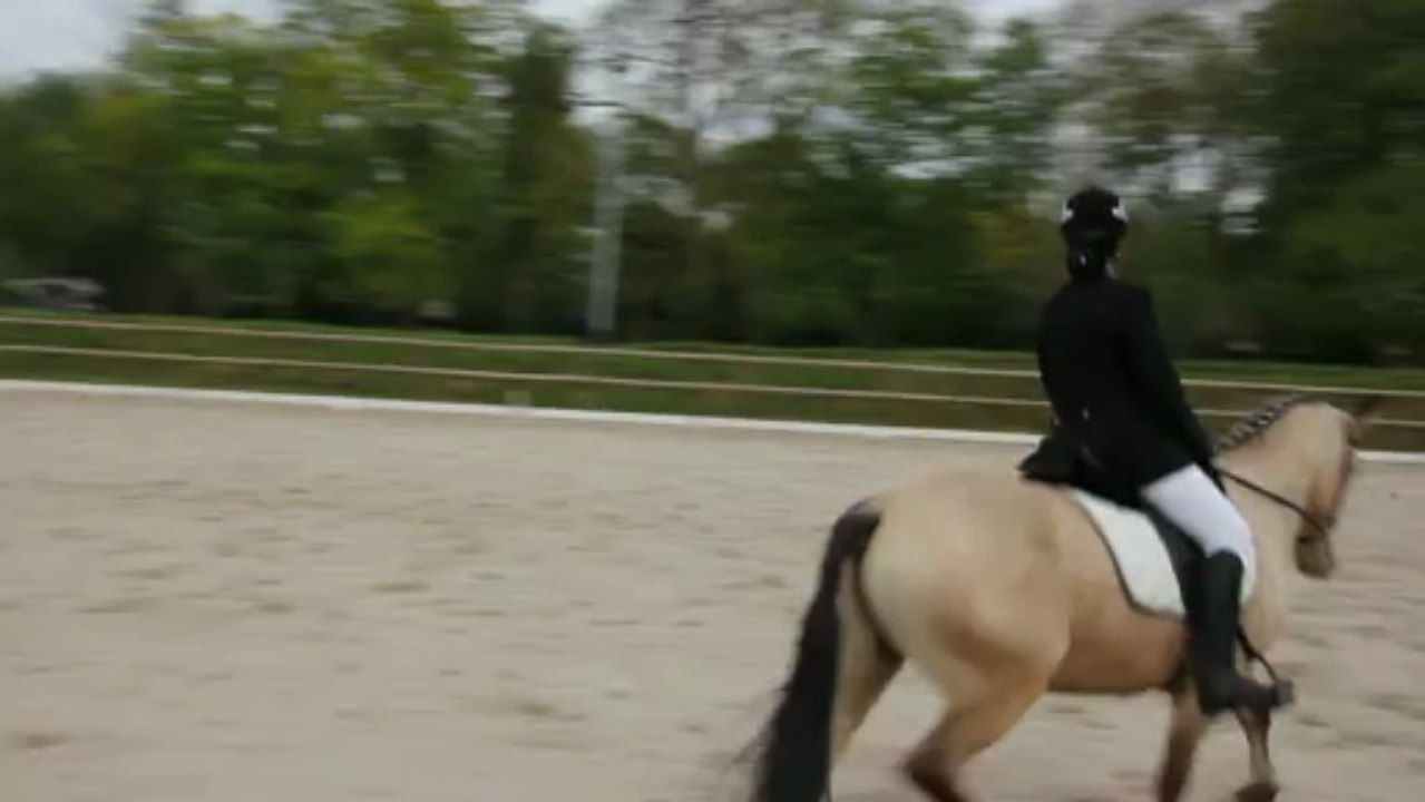 Solène et Teck Dressage pur PONEY 1D