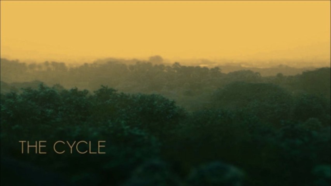THE CYCLE