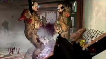 Black Ops 2 Zombies Glitches: Wallbreach inside Fridge - God Mode Spot!