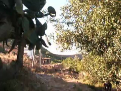 زيارة الى تغجيرت وبالضبط الى الولي الصالح سيدي علي بودشيش تصوير الصحفي المتطوع محمد محي