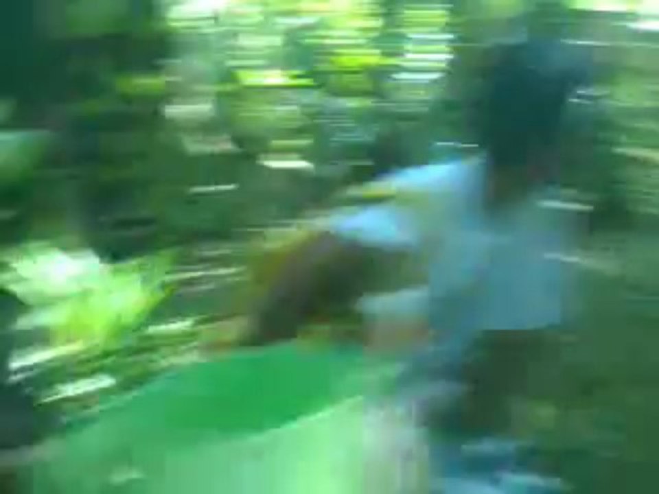Video0004