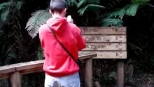 Anthoni Cascade